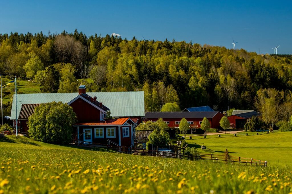 Pollenallergi 2026 Norden: Leger advarer om den verste sesongen på ti år