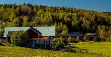Pollenallergi 2026 Norden: Leger advarer om den verste sesongen på ti år Pollenallergi 2026 Norden: Leger advarer om den verste sesongen på ti år